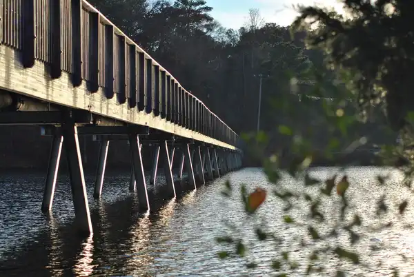 Photo of Raleigh