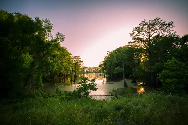 Photo of Mississippi