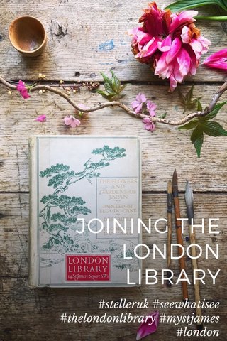 JOINING THE LONDON LIBRARY #stelleruk #seewhatisee #thelondonlibrary #mystjames #london