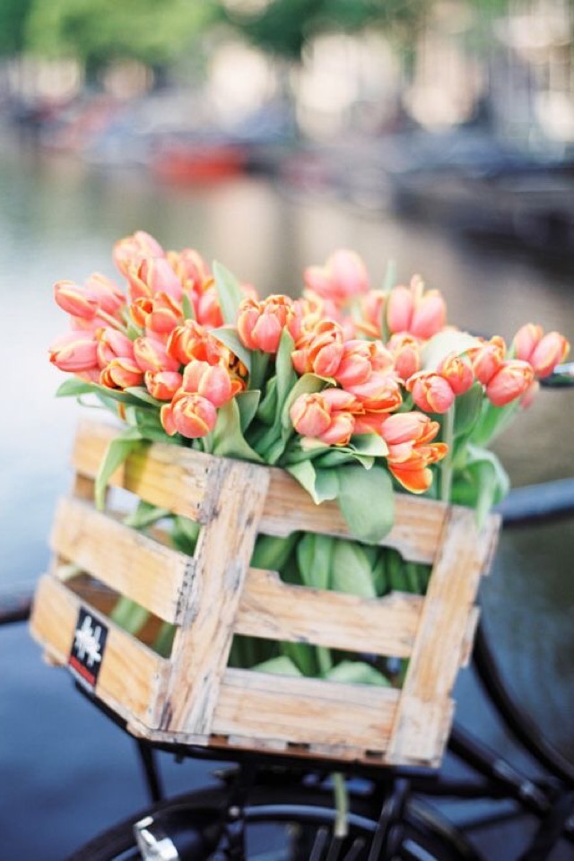 Steller Create Beautiful Social Media Stories