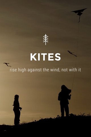 KITES rise high against the wind, not with it