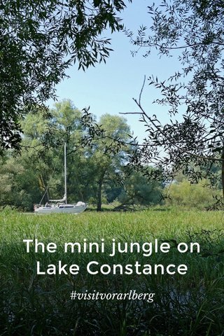 The mini jungle on Lake Constance #visitvorarlberg