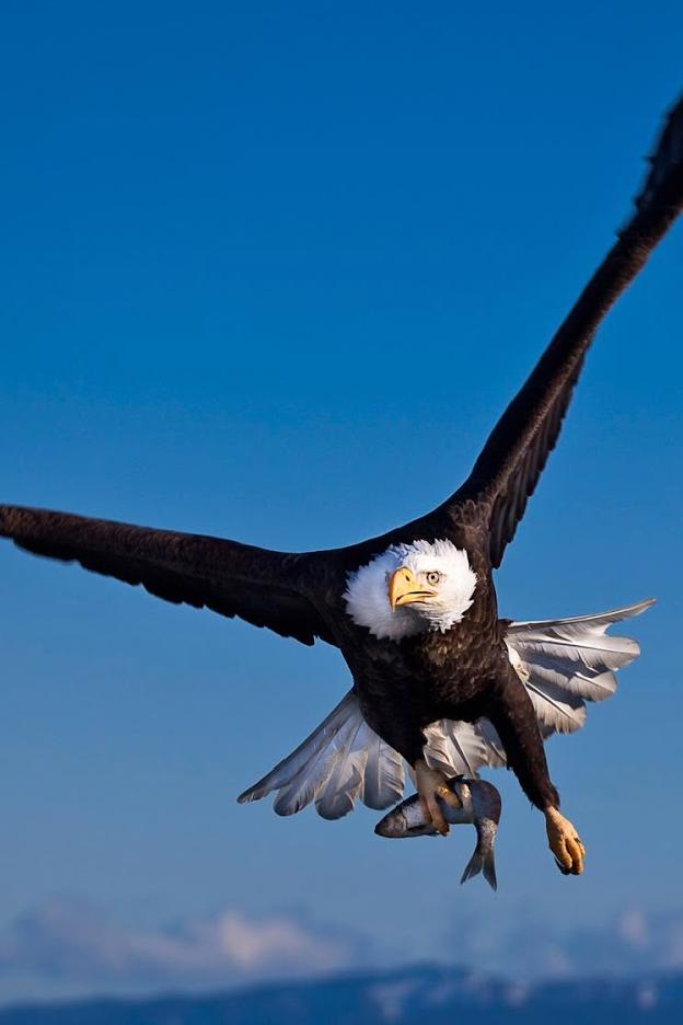 Steller Create Beautiful Social Media Stories