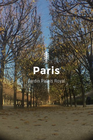 Steller Create Beautiful Social Media Stories