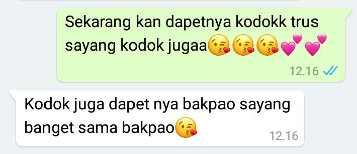 Steller Create Beautiful Social Media Stories