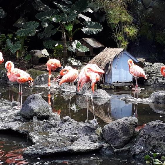 Steller Create Beautiful Social Media Stories