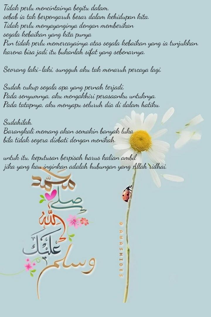 Steller Create Beautiful Social Media Stories