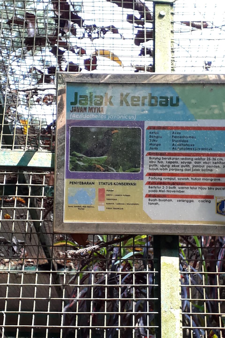 Steller Create Beautiful Social Media Stories