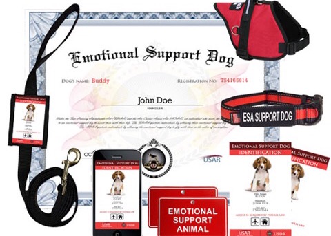 register dog as support dog