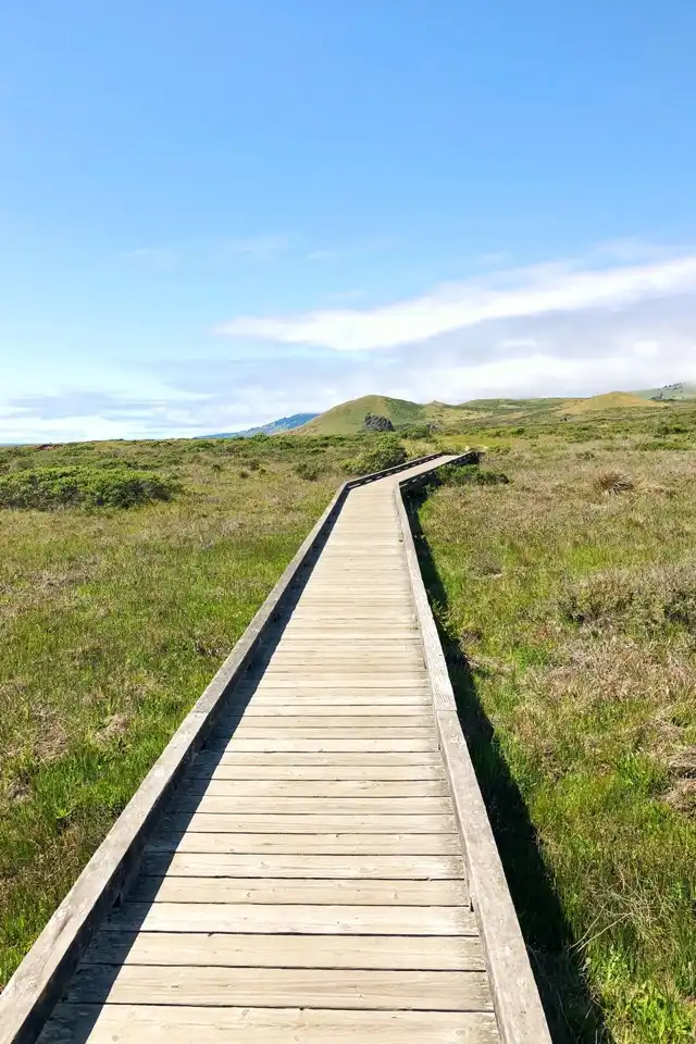 Photo of Bodega Bay