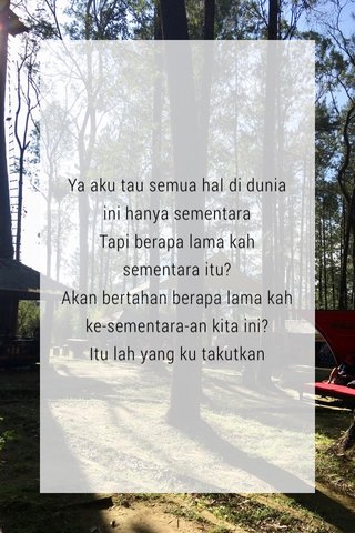 Steller Create Beautiful Social Media Stories