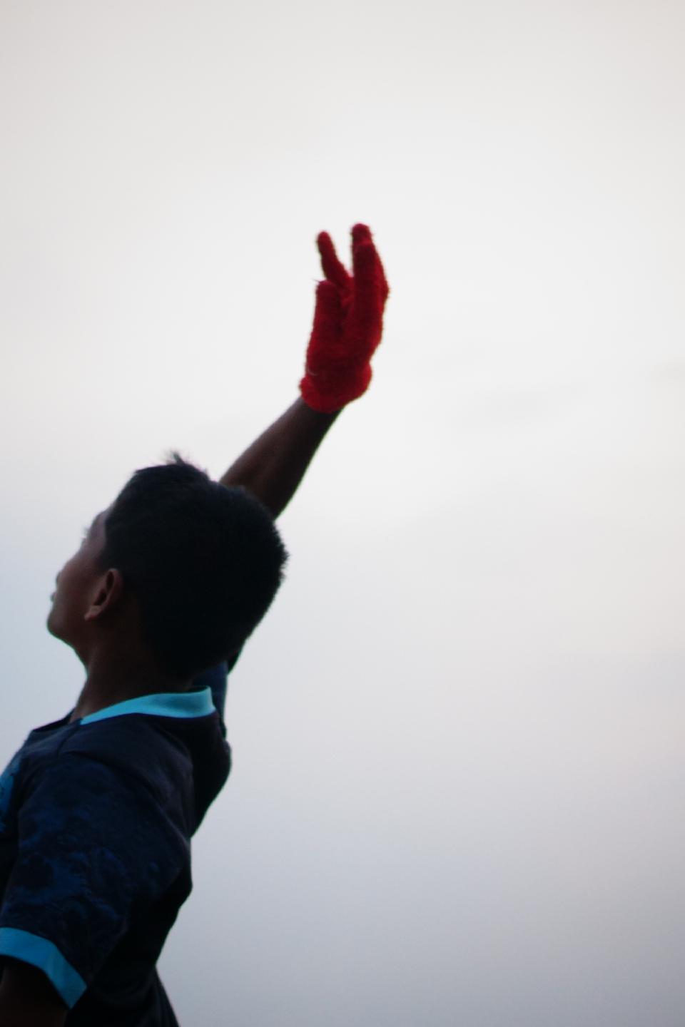 Steller Create Beautiful Social Media Stories