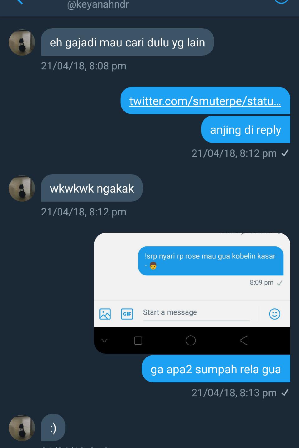 Steller Create Beautiful Social Media Stories