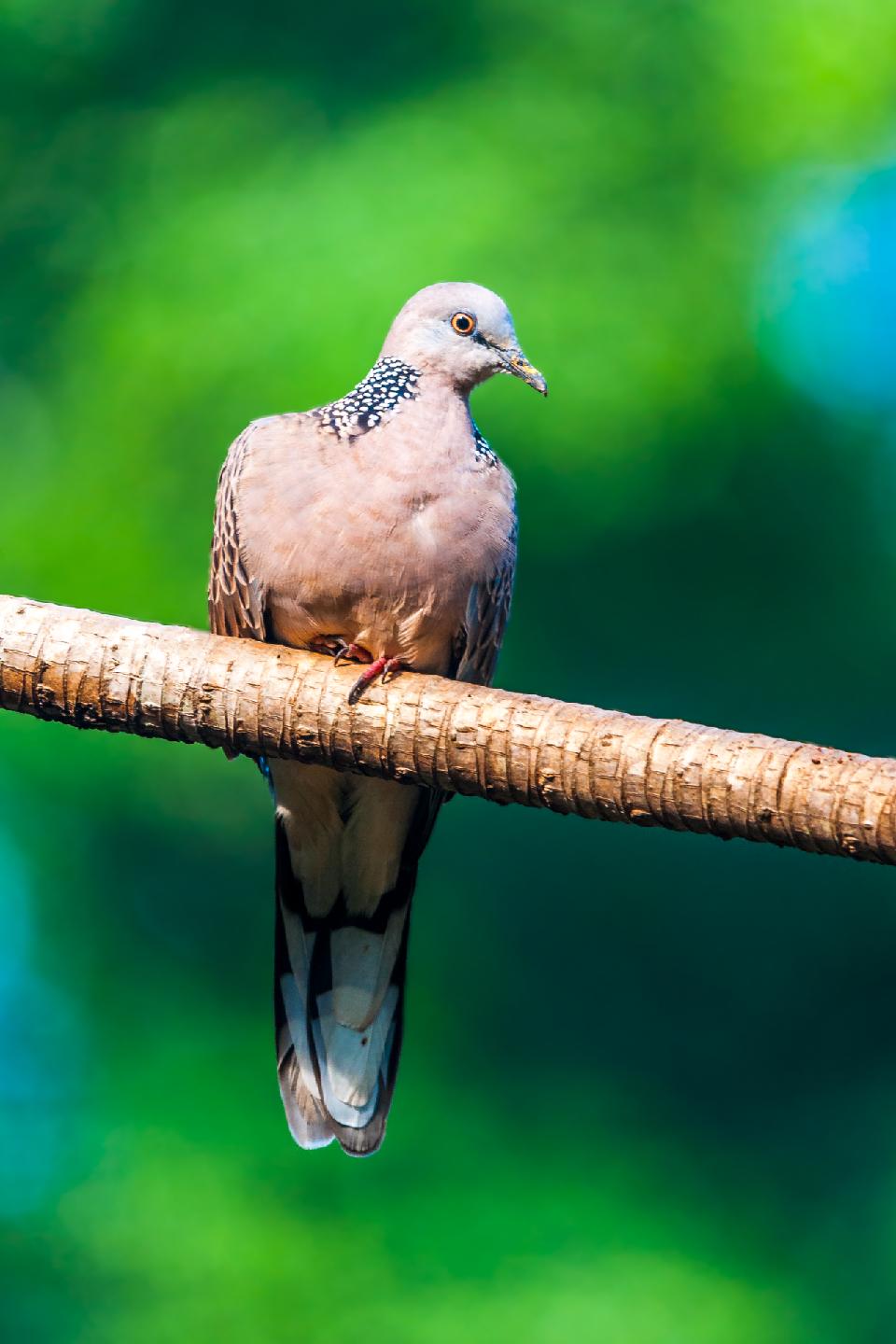 Steller Create Beautiful Social Media Stories