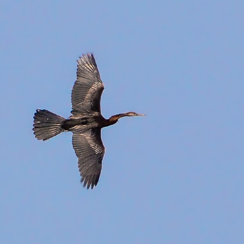 Steller Create Beautiful Social Media Stories