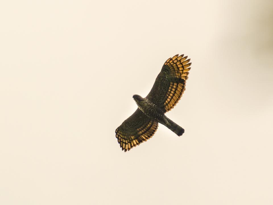 Steller Create Beautiful Social Media Stories