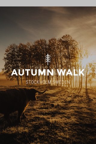 AUTUMN WALK STOCKHOLM,SWEDEN