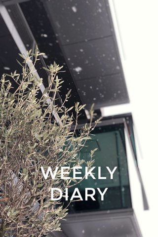 WEEKLY DIARY
