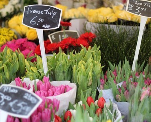 Steller Create Beautiful Social Media Stories