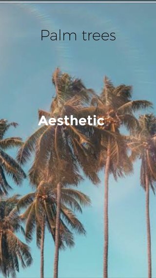 Steller Create Beautiful Social Media Stories