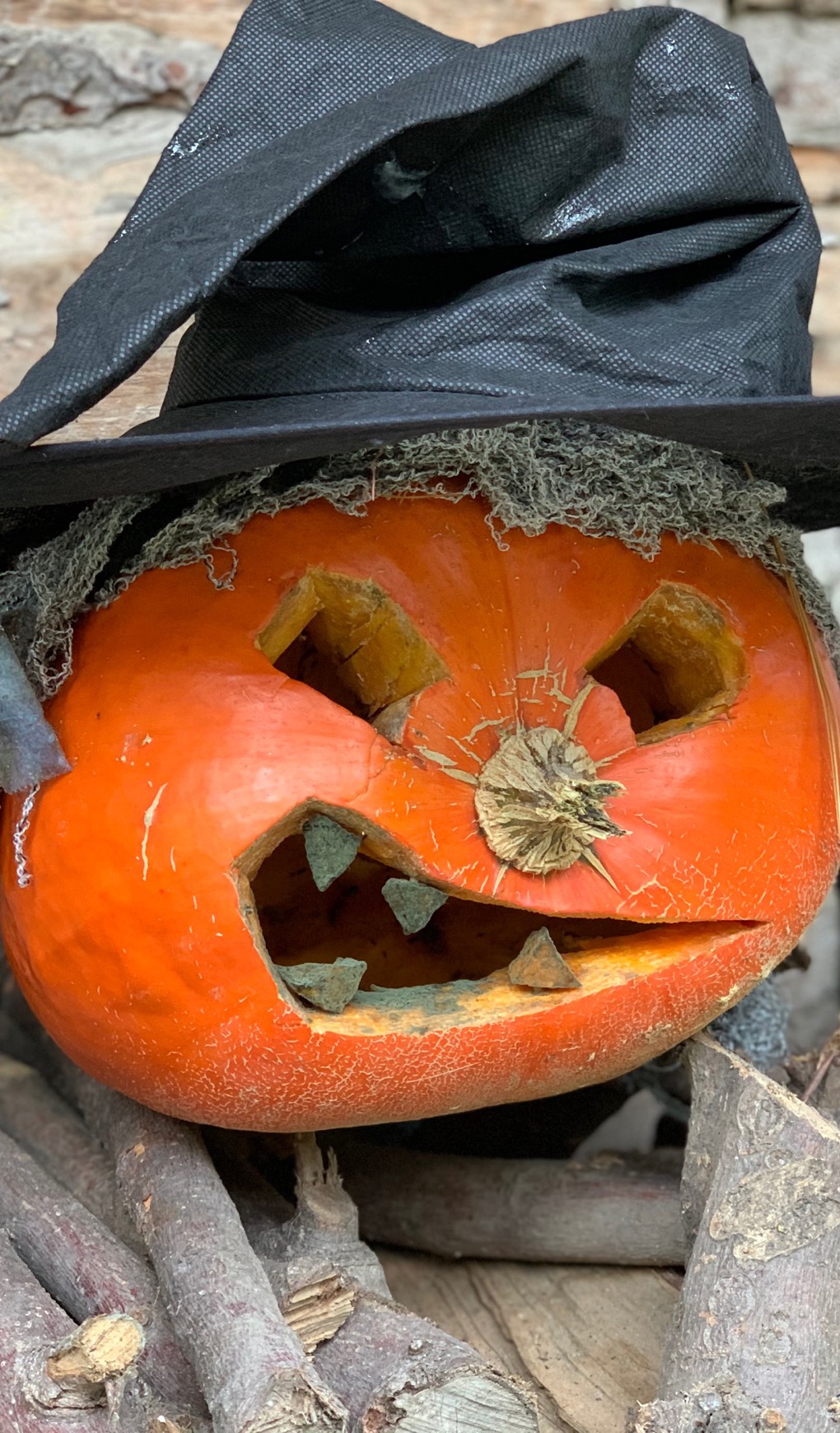 Steller Create Beautiful Social Media Stories