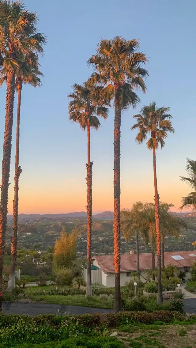 Photo of Vista