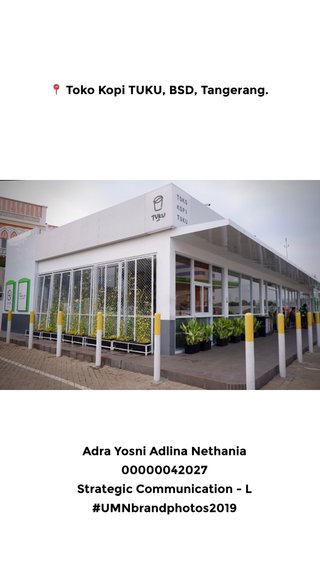 Steller Create Beautiful Social Media Stories