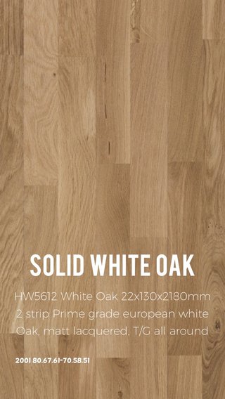 Steller Create Beautiful Social Media Stories