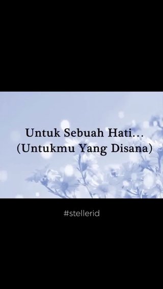 Steller Create Beautiful Social Media Stories