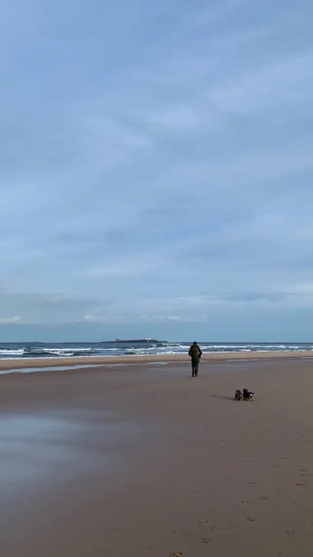 Photo of Bamburgh