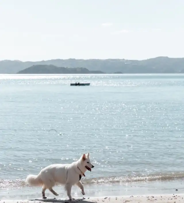Days Bay