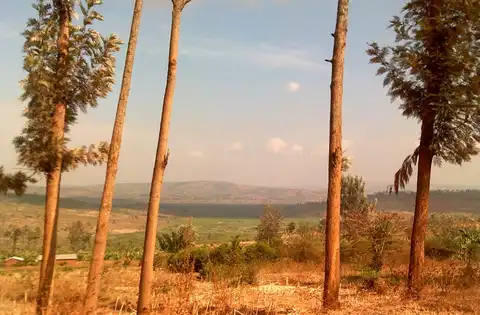 Photo of Rwanda