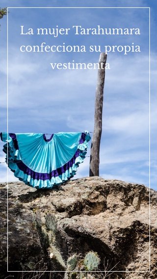 Steller Create Beautiful Social Media Stories