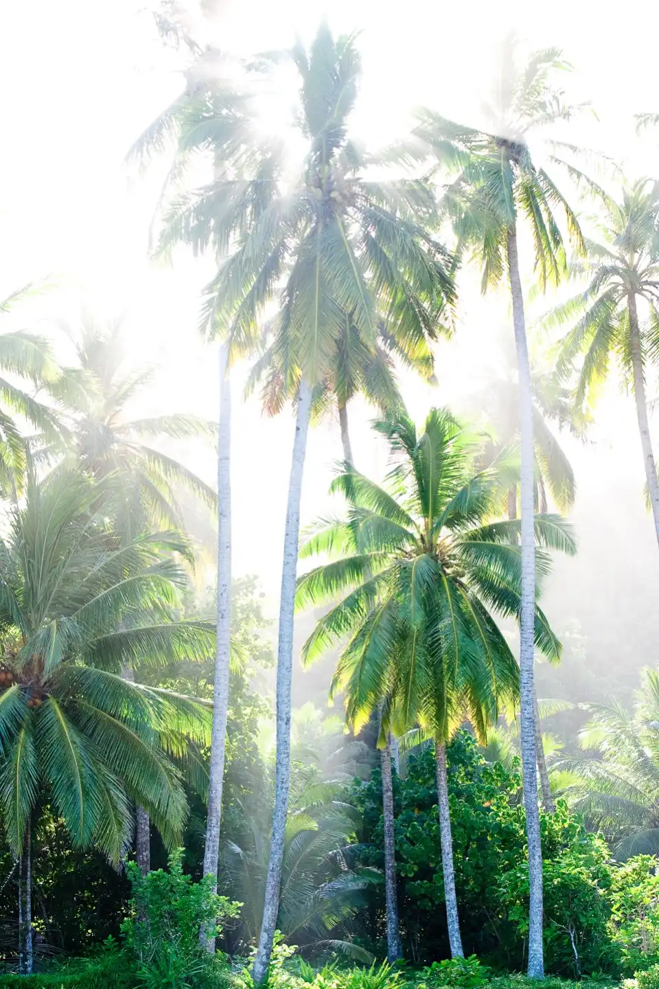 Mentawai Islands Regency