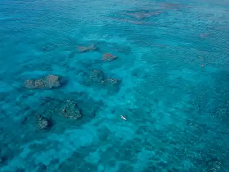 Photo of North Shore