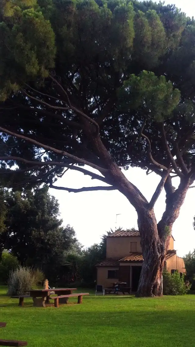 Photo of Castagneto Carducci
