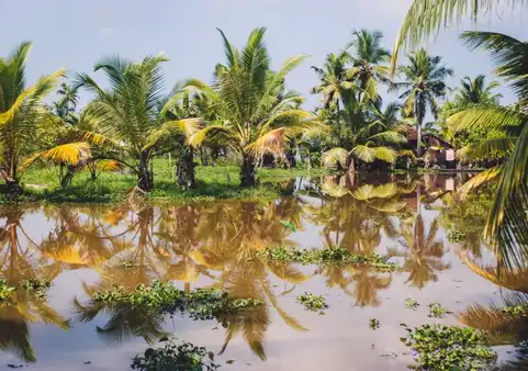 Photo of Alappuzha