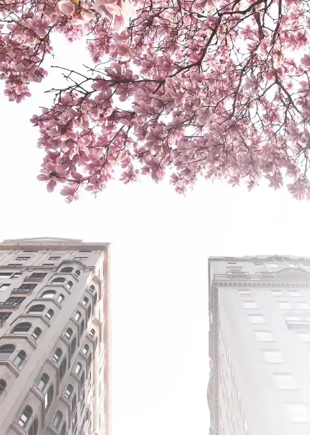Photo of Rittenhouse Square