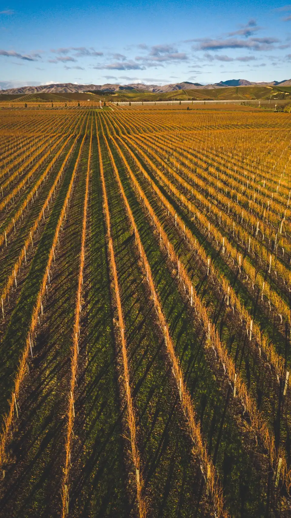 Marlborough Region