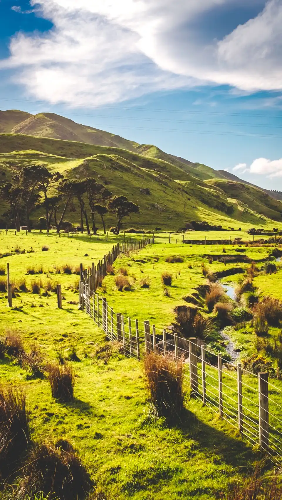 Wellington