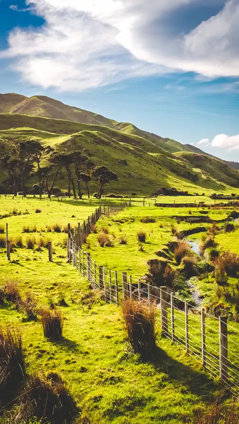 Photo of Wellington