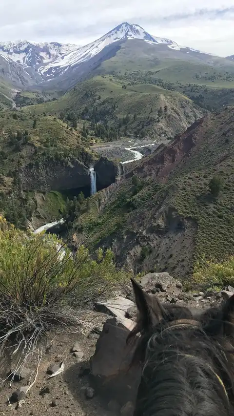 Photo of Linares