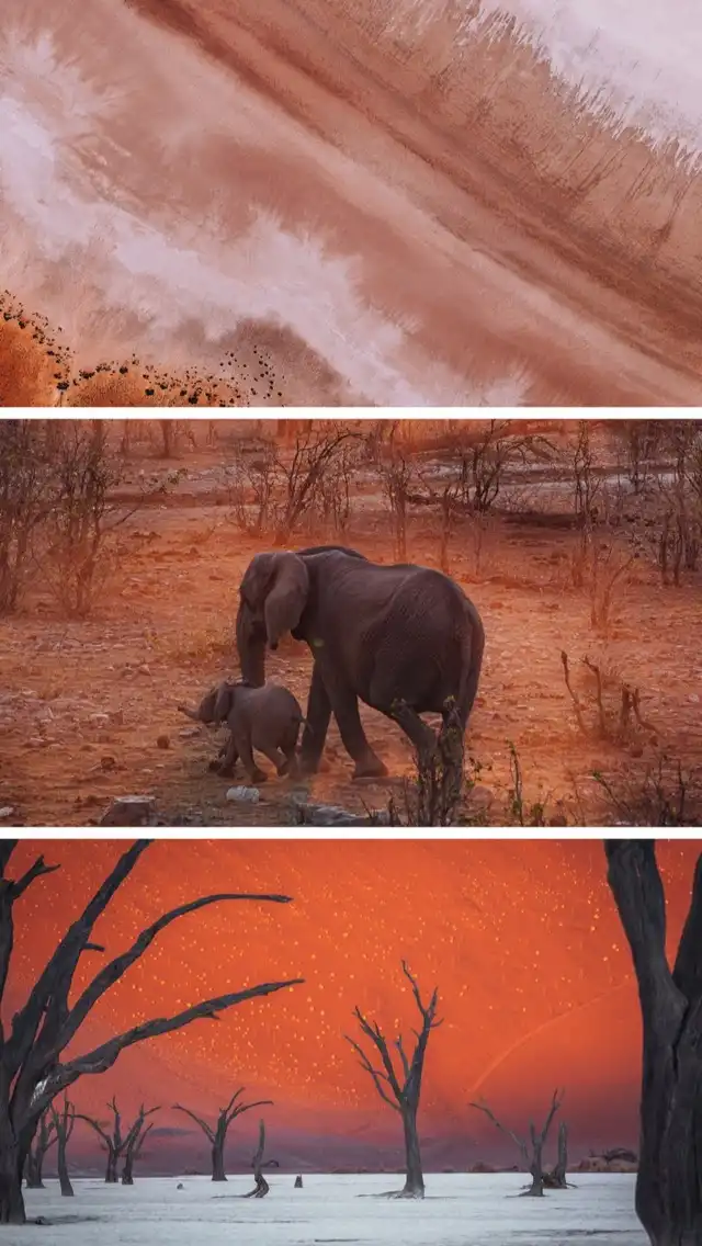 Photo of Etosha National Park
