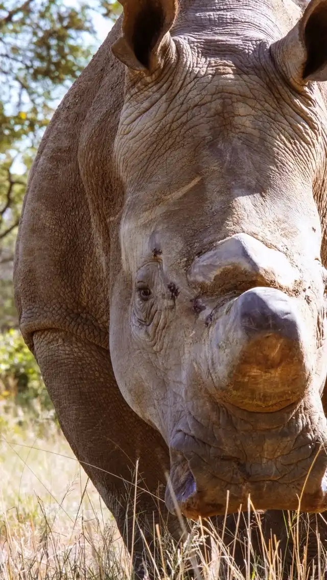 Photo of Matobo National Park.