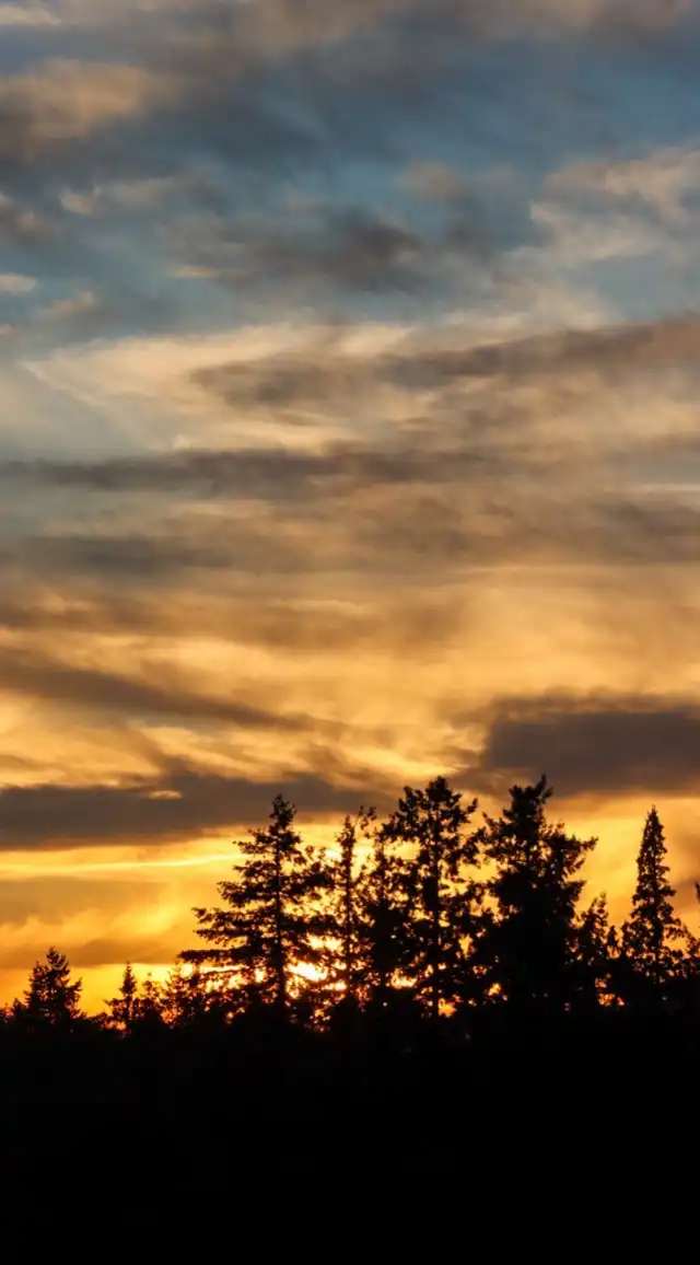 Photo of Woodinville