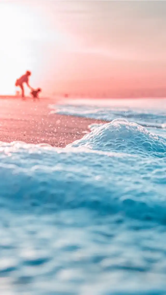 Photo of Seal Beach