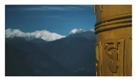 Photo of Pelling