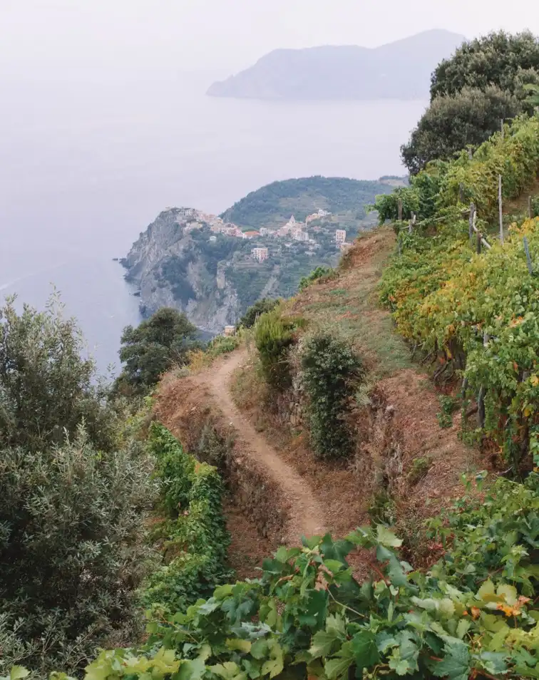 Photo of Corniglia
