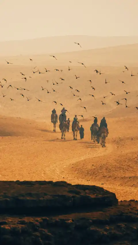 Photo of Giza