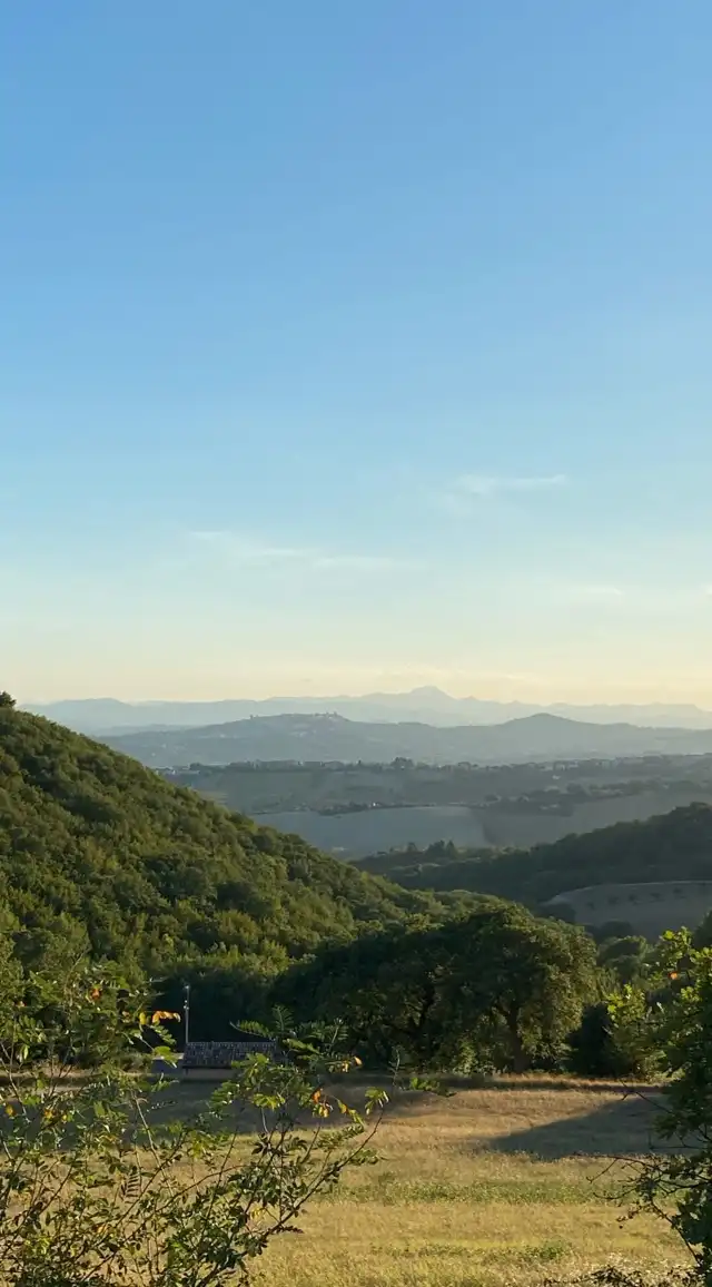 Photo of Marche